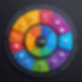 Visual representation of the CLM lifecycle stages