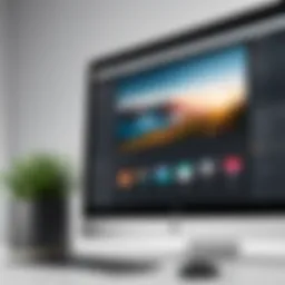 Detailed overview of webinar video downloader features