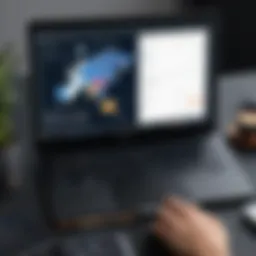 Overview of Atlas Martial Arts Software interface