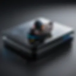 An overview of Black Duck Scan interface showcasing its features.