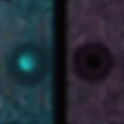 Comparison of Vector and Raster Graphics