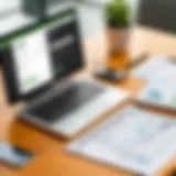 Overview of GoDaddy Bookkeeping Interface