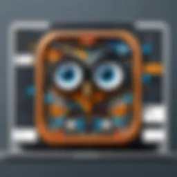 Dashboard interface showcasing Hootsuite's features