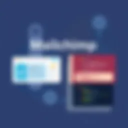 Mailchimp vs. Squarespace Campaigns: A Comparative Analysis Introduction