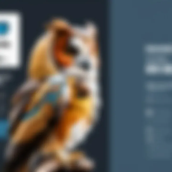Comparative chart of Hootsuite pricing tiers