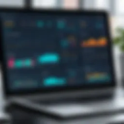 Visual representation of LLC tax software dashboard