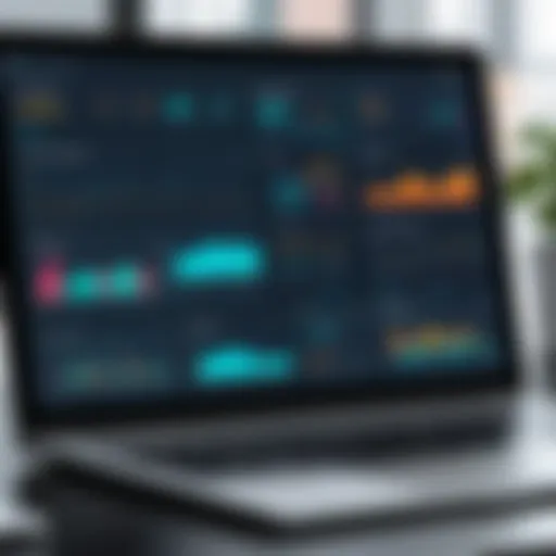Visual representation of LLC tax software dashboard