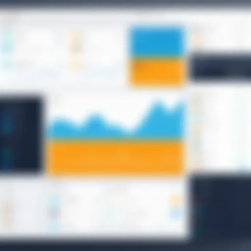 A dynamic dashboard showcasing volunteer activities